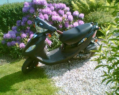 Sym DD 50  SOLGT ! - Miin Scooter, Inden Den Blev Malet Pink ,. billede 8