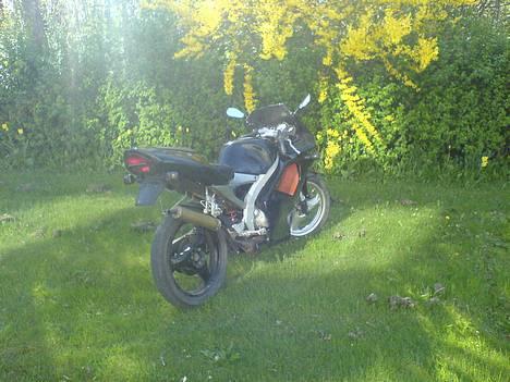 Aprilia RS 50 SOLGT billede 6