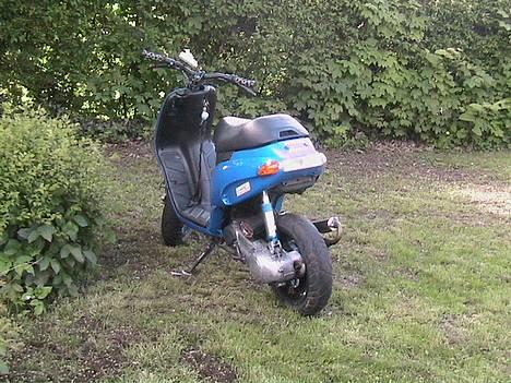 Piaggio Typhoon billede 10