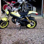 Suzuki Street Magic SOLGT