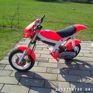 Suzuki Street magic (Byttet)