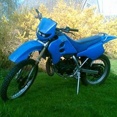 Suzuki rmx SOLGT