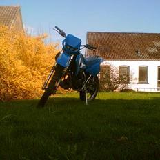Suzuki rmx SOLGT