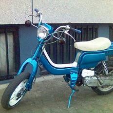 Suzuki fz50 (vild dyret)