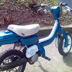 Suzuki fz50 (vild dyret)