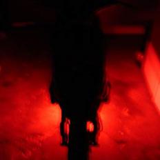 Gilera Stalker Projekt Baneracer