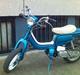 Suzuki fz50 (vild dyret)