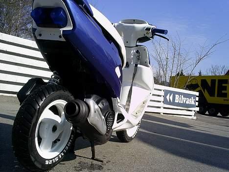 Honda SFX *STV~2821* ! [SOLGT] billede 7