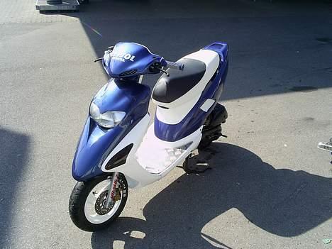 Honda SFX *STV~2821* ! [SOLGT] billede 9