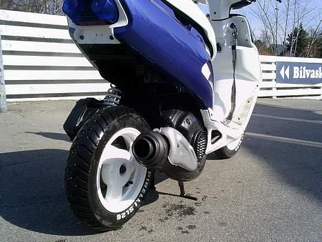 Honda SFX *STV~2821* ! [SOLGT] billede 11