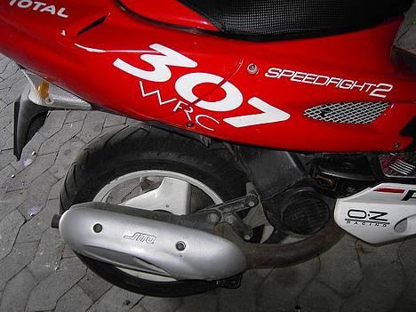 Peugeot 307 WRC billede 5