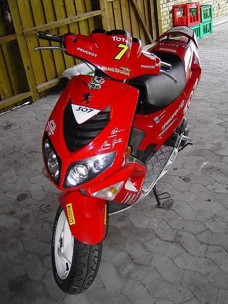 Peugeot 307 WRC billede 8