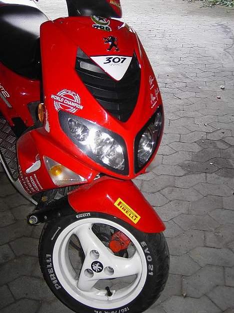 Peugeot 307 WRC billede 9