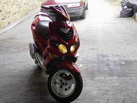 Peugeot 307 WRC billede 11