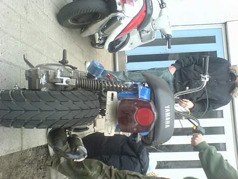 Suzuki fz 50 BYTTET billede 8