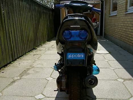 Honda SFX (Solgt) billede 5