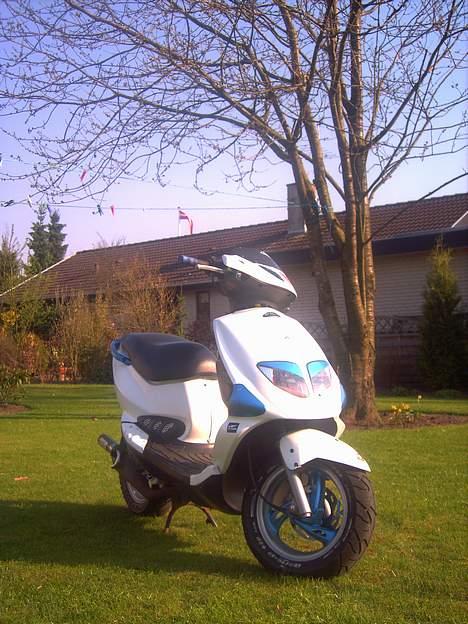 PGO DR. BIG SOLGT  billede 3