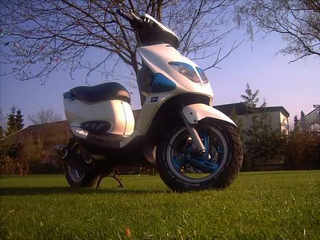 PGO DR. BIG SOLGT  billede 5