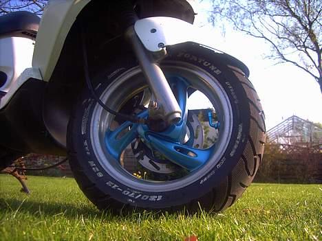 PGO DR. BIG SOLGT  billede 6