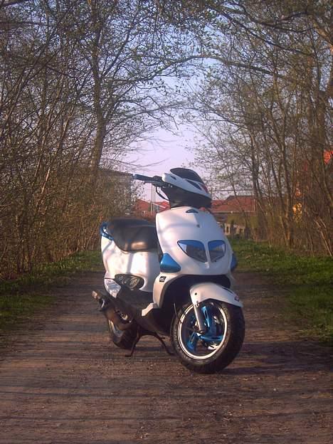 PGO DR. BIG SOLGT  billede 13