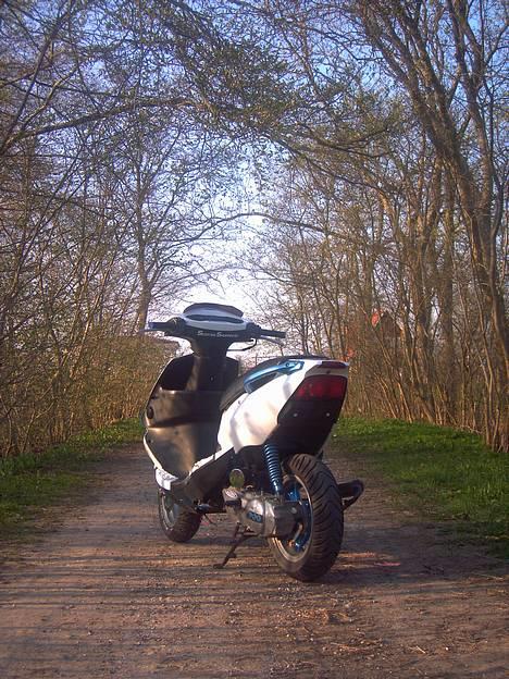 PGO DR. BIG SOLGT  billede 14