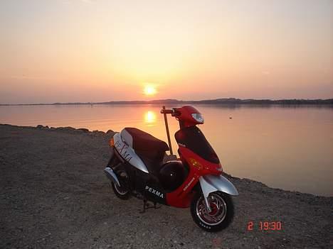 Pexma KD50QT (far's scooter) !  billede 4