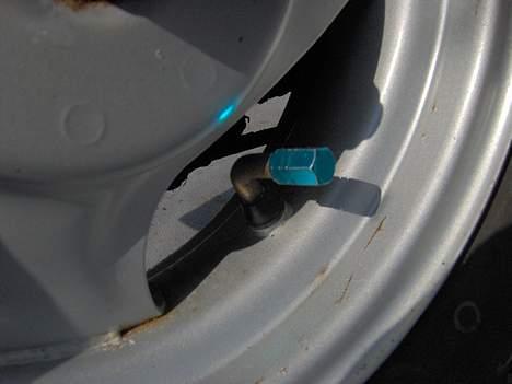 PGO hot gamle til ny billede 9