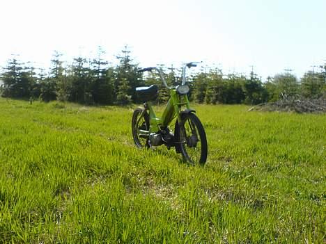 Puch Maxi K  - jaja det er godt vejr  billede 15