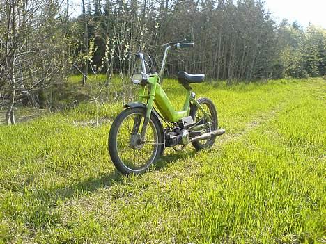 Puch Maxi K  billede 16