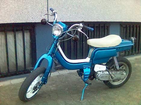 Suzuki fz50 (vild dyret) billede 1