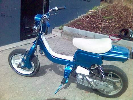 Suzuki fz50 (vild dyret) billede 2