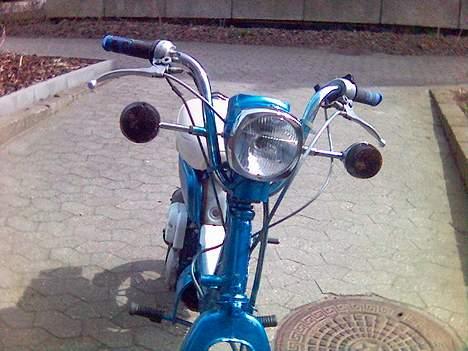 Suzuki fz50 (vild dyret) billede 4