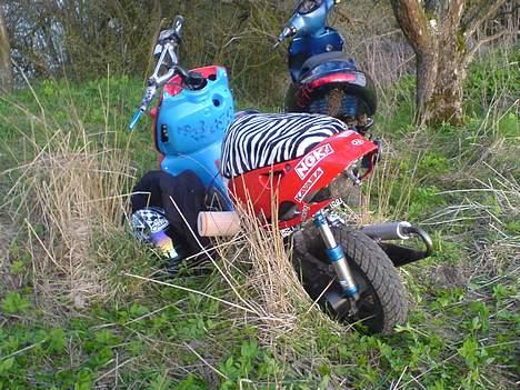 Aprilia Sonic *BYTTET* billede 5