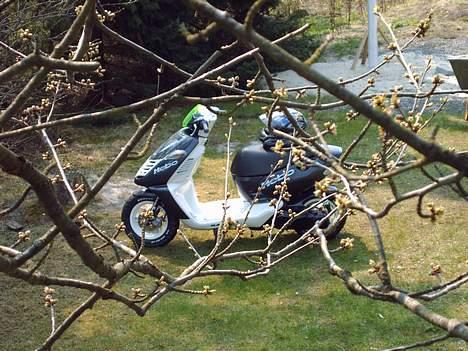 Aprilia Sonic SOLGT - Fra skoven- billede 14