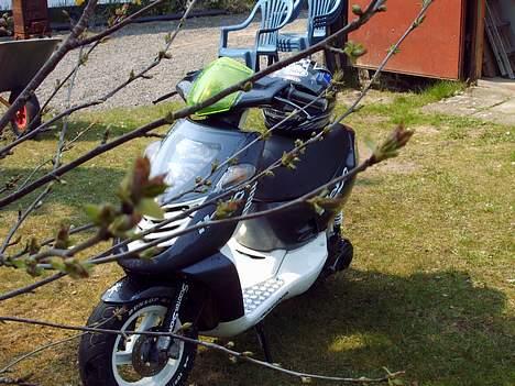 Aprilia Sonic SOLGT billede 19