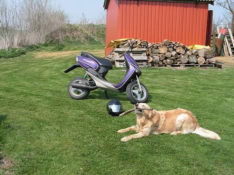 Yamaha Neos Taget af Politiet billede 9