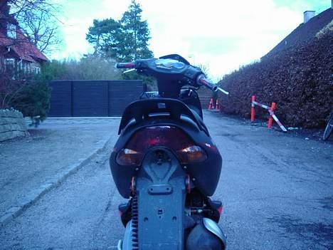 Aprilia Sonic billede 6