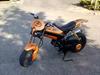 Suzuki Street Magic/ Fillips 