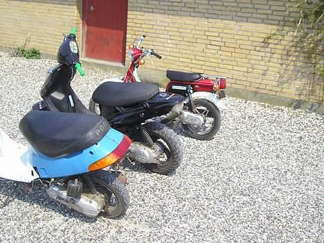 Suzuki fz 50 billede 2