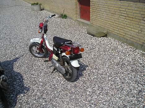 Suzuki fz 50 billede 4