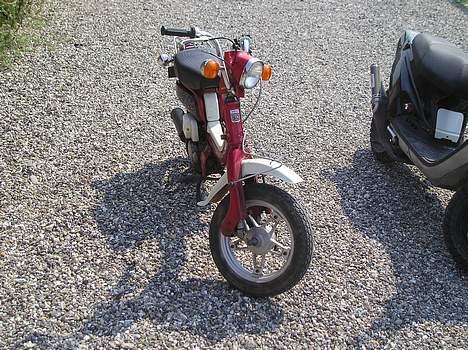 Suzuki fz 50 billede 6