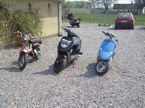 PGO Comet - solgt billede 8