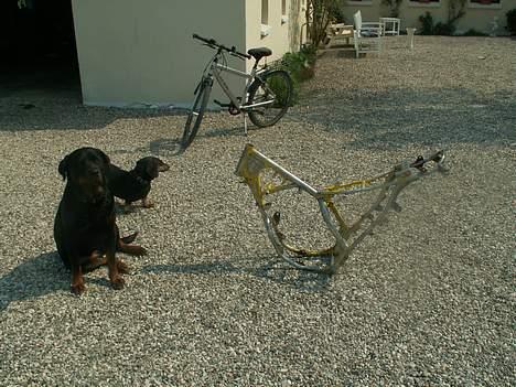 Suzuki Rmx "PROJEKT"  billede 13