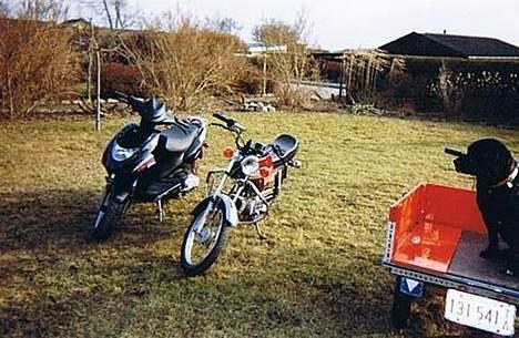 Suzuki Dm50 - Fælles billede billede 8