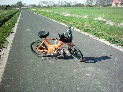 Puch Maxi Blank `N` Orange billede 5