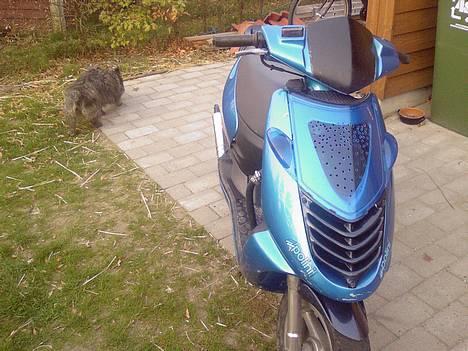 Aprilia Sonic "Blålyn LC *Byttet* billede 14