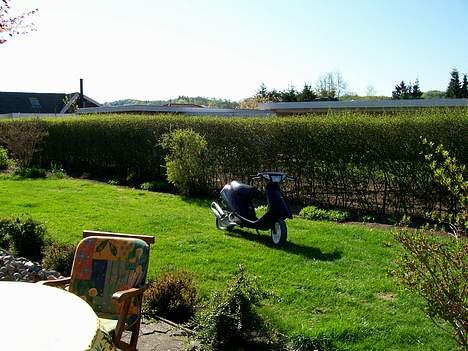 Yamaha                     FS AC billede 13