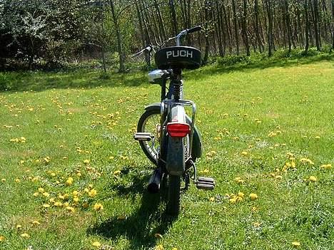 Puch maxi p billede 10