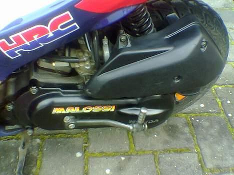 Honda SFX Repsol billede 6