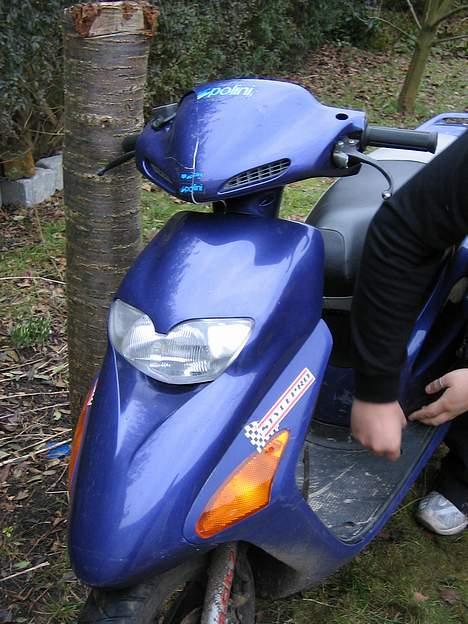 Honda Sfx  SOLGT..  billede 3